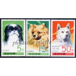 Dogs North-Korea 1480+Air 7