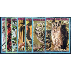 Owls Equatorial Guinea...