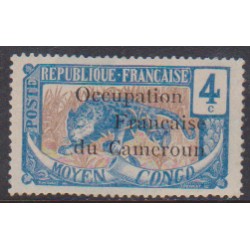 Cameroun  55*