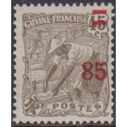 Guyane 100**